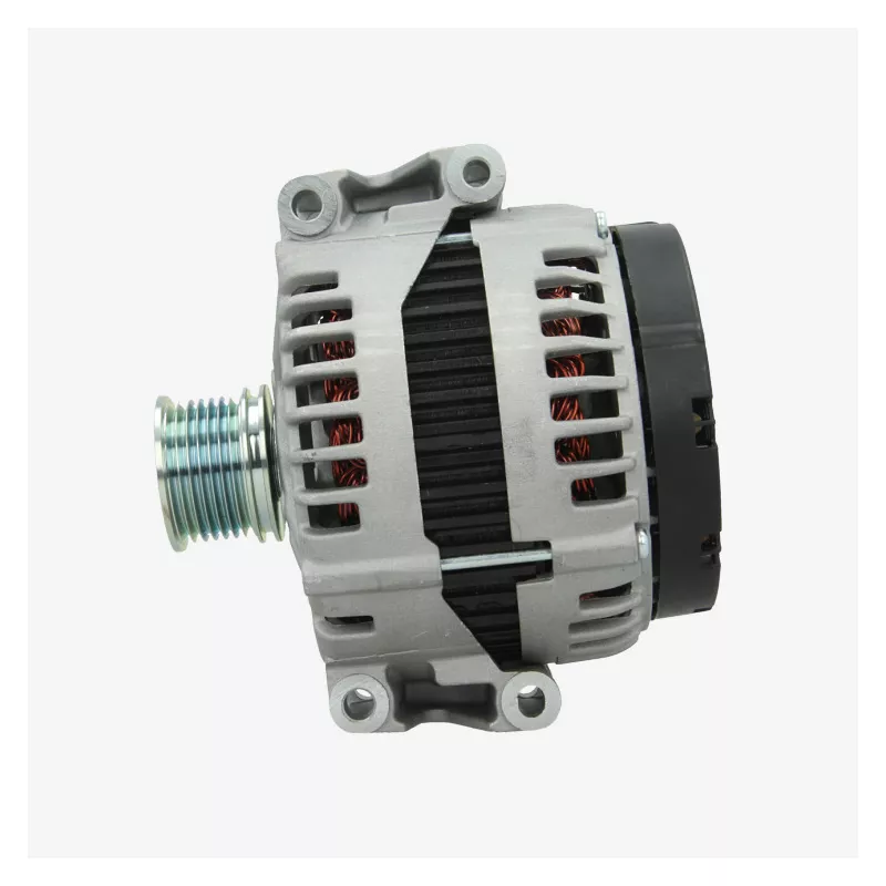 Alternateur BV PSH 555.552.220.014 - Visuel 1
