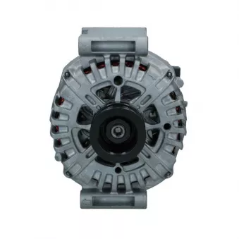 Alternateur BV PSH 555.956.250.500