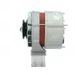 BV PSH 565.003.065.010 - Alternateur