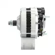 BV PSH 565.008.060.000 - Alternateur
