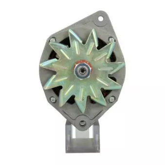Alternateur BV PSH 576.001.060.500