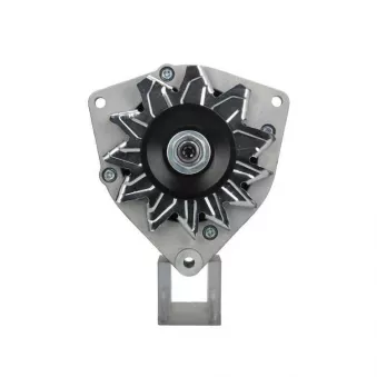 Alternateur BV PSH 586.004.055.090