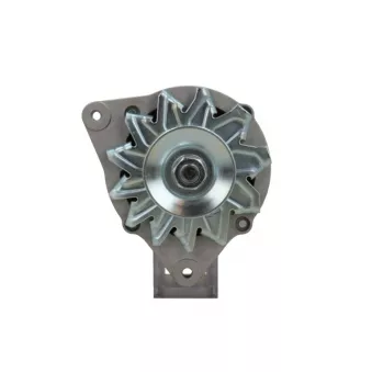 Alternateur BV PSH OEM 6192883
