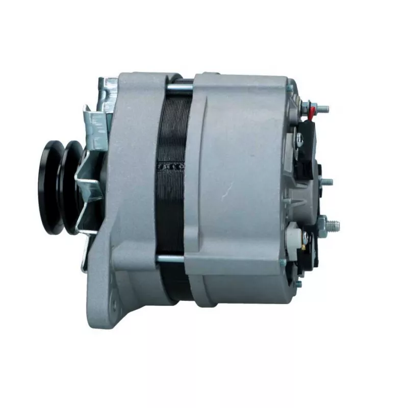 Alternateur BV PSH 595.006.090.018 - Visuel 1