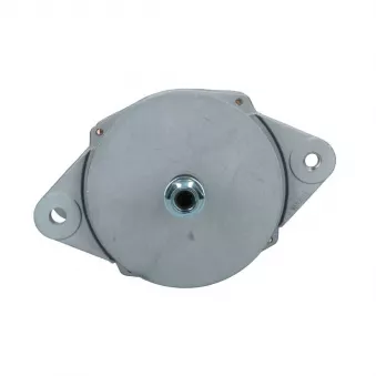 Alternateur BV PSH OEM F4HT10300FA