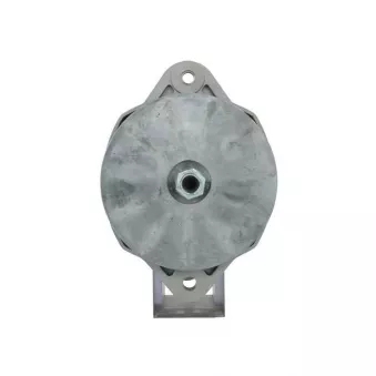 Alternateur BV PSH 645.053.075.030