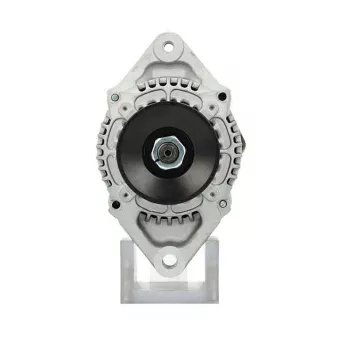 Alternateur BV PSH OEM 1749064010