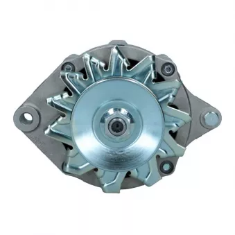 Alternateur BV PSH OEM A132