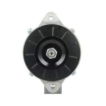 Alternateur BV PSH OEM 6008219550
