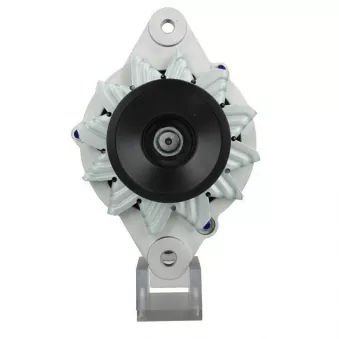 Alternateur BV PSH OEM 6008256150