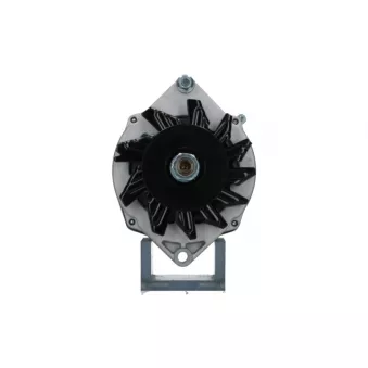 Alternateur BV PSH 975.002.042.030