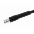 VAICO V10-1169 - Flexible de frein
