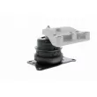 VAICO V10-1644 - Support moteur avant droit