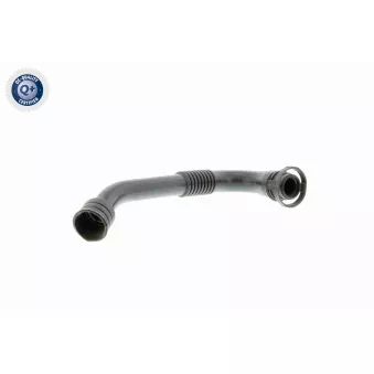 Tuyau, ventilation de carter-moteur VAICO V10-2941