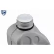 VAICO V10-50105 - Pompe à eau + kit de courroie de distribution