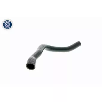 VAICO V20-0145 - Durite de radiateur