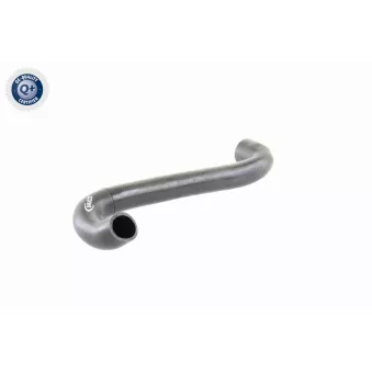 VAICO V20-0291 - Durite de radiateur