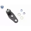 VAICO V20-0973 - Rotule de suspension avant gauche