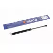 VAICO V20-1005 - Vérin de hayon, de coffre