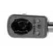 VAICO V20-1013 - Vérin, capot-moteur