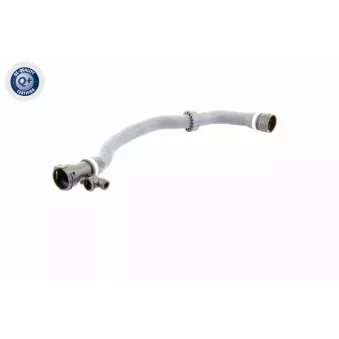 Durite de radiateur VAICO OEM 11537788276