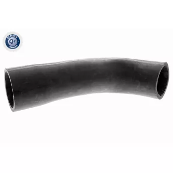 Gaine de suralimentation VAICO OEM 11617799394