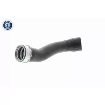 Gaine de suralimentation VAICO OEM 7805437