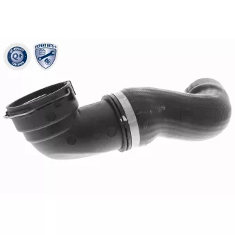 Gaine de suralimentation VAICO OEM 11613415784