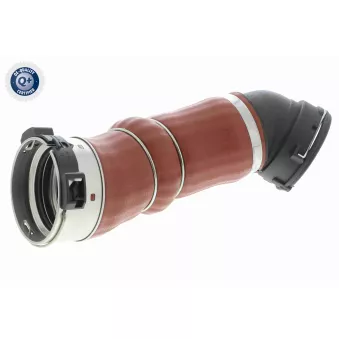 Gaine de suralimentation VAICO OEM 7796293