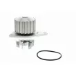 VAICO V22-50003 - Pompe à eau