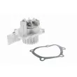 VAICO V22-50004 - Pompe à eau