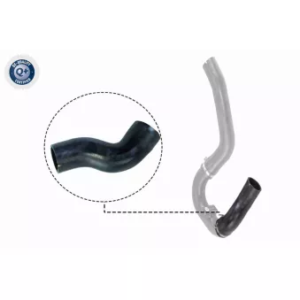 Gaine de suralimentation VAICO OEM 51810956part2