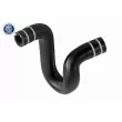 VAICO V24-0803 - Durite de radiateur