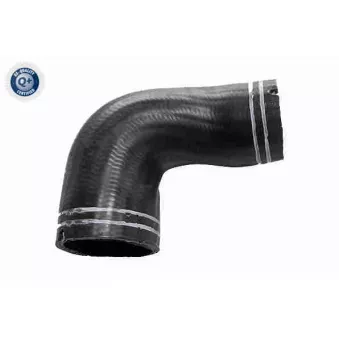 Gaine de suralimentation VAICO OEM 50517402