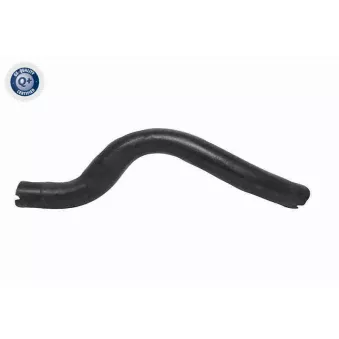 Durite de radiateur VAICO V24-1275