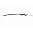 VAICO V25-0305 - Flexible de frein avant droit