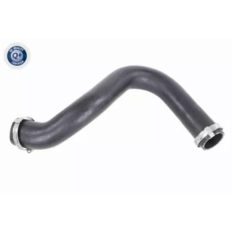 Gaine de suralimentation VAICO OEM 4M516K863AC