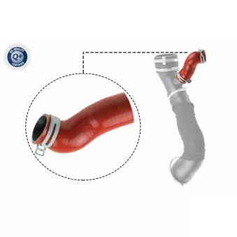 Gaine de suralimentation VAICO V25-1032 pour FORD FOCUS 2.5 ST - 225cv