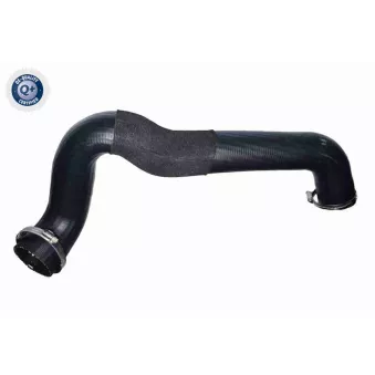 Gaine de suralimentation VAICO OEM 1749144