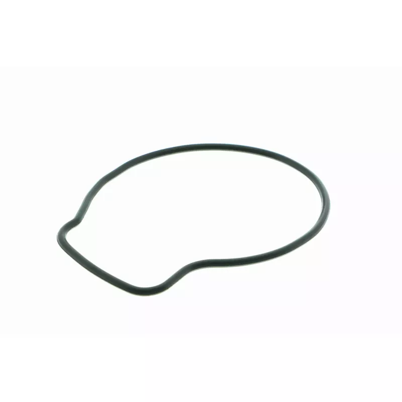 Pompe à eau VAICO V26-50001 - Visuel 2