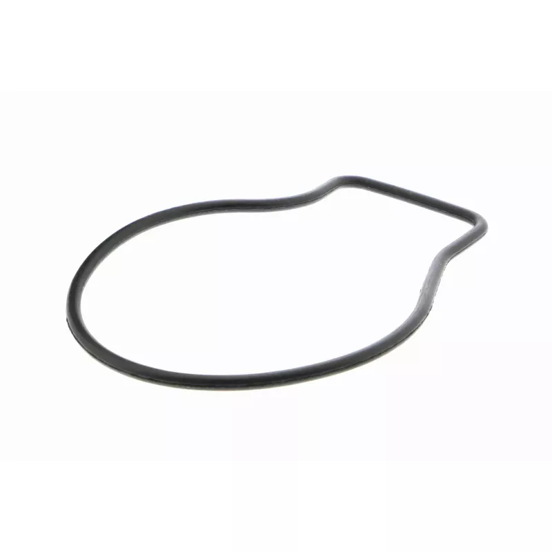 Pompe à eau VAICO V26-50015 - Visuel 2