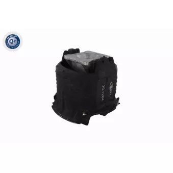 Silent bloc de suspension (train arrière) VAICO OEM A2033510142