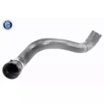 Durite de radiateur VAICO OEM A2205010382