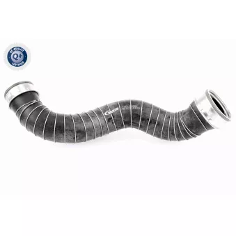 Gaine de suralimentation VAICO OEM A2115281882