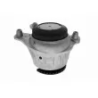 VAICO V30-4017 - Support moteur avant gauche