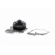 VAICO V30-50085 - Pompe à eau