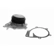VAICO V30-50106 - Pompe à eau, refroidissement du moteur