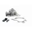 VAICO V32-50004 - Pompe à eau