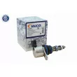 VAICO V33-0085 - Valve de commande, réglage d'arbres à came