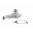 VAICO V33-50001 - Pompe à eau